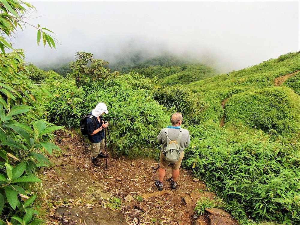 Tourists need to be in good physical condition to take on this challenge
